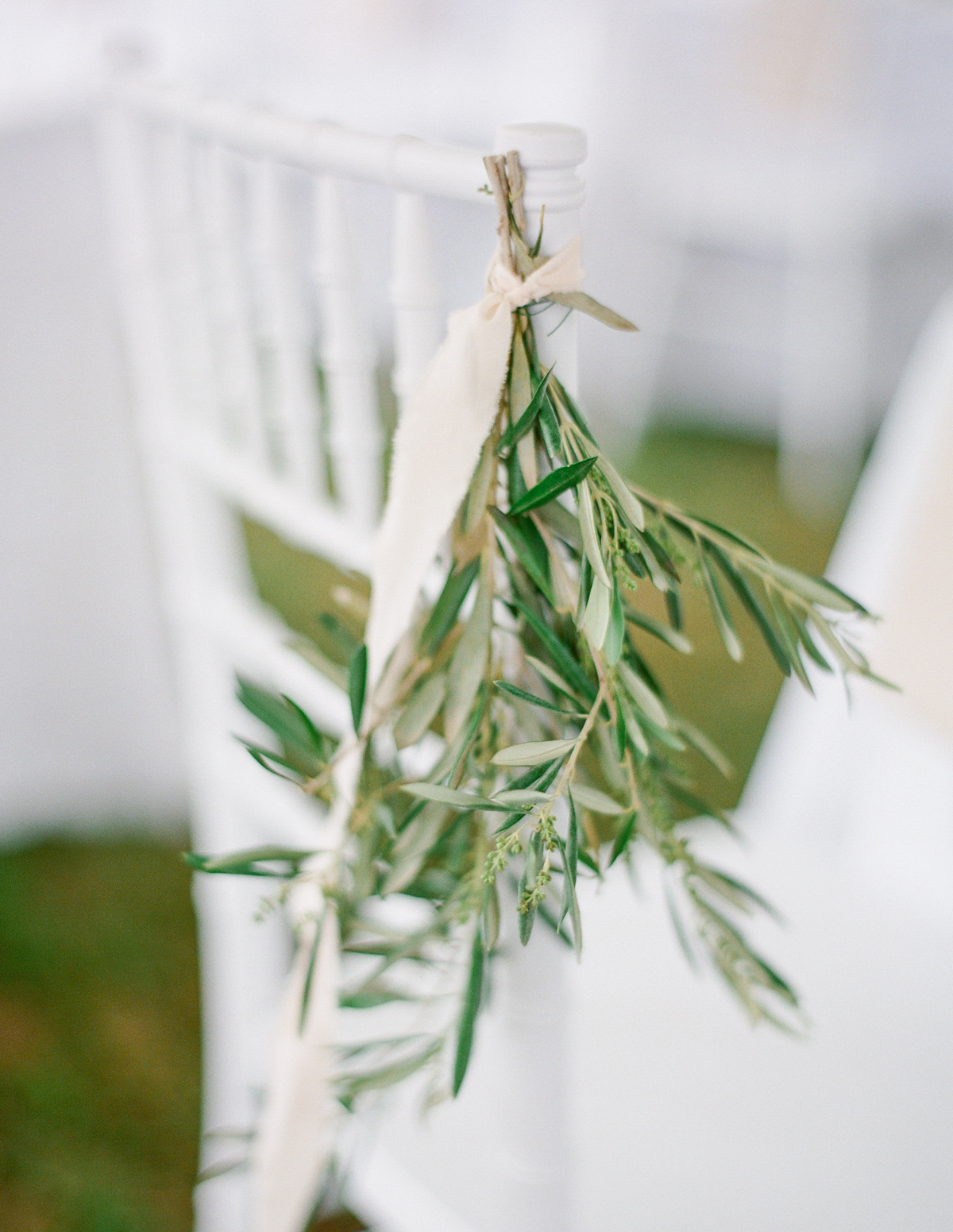 Olive branches | Fine Art Crestview Florida Wedding | Jennifer Blair Photography 