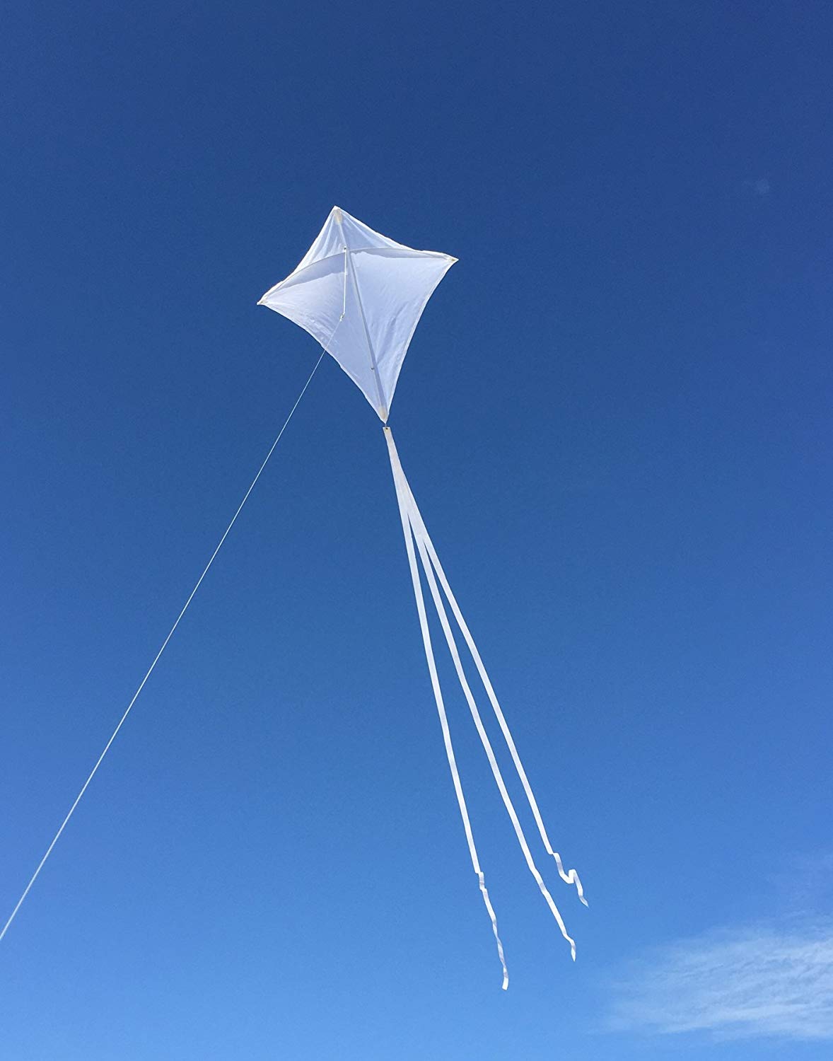 White Kite.jpg