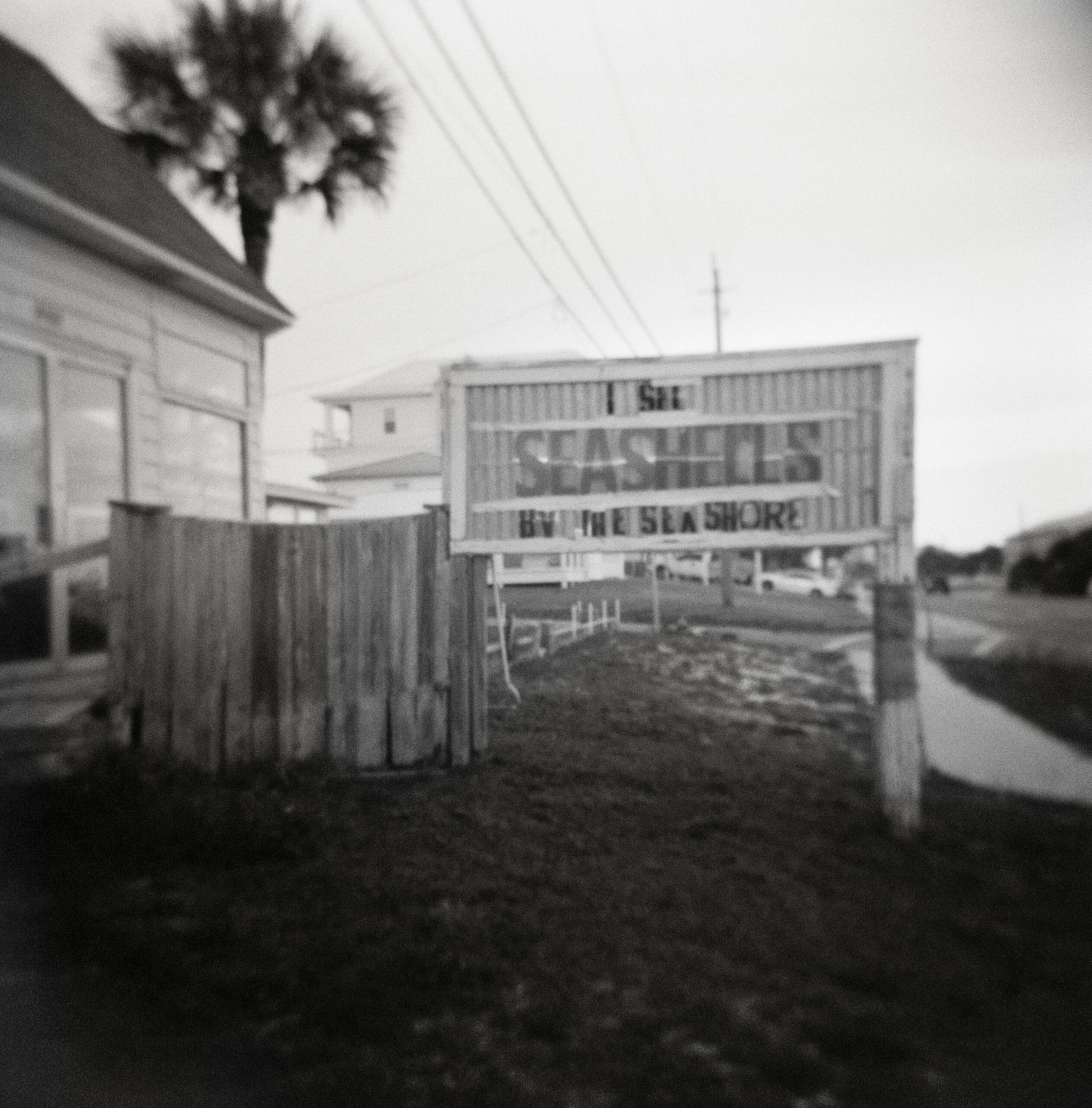 A sign on Front Beach Road in Panama City Beach, Florida that says, "I sell seashells by the seashore."
