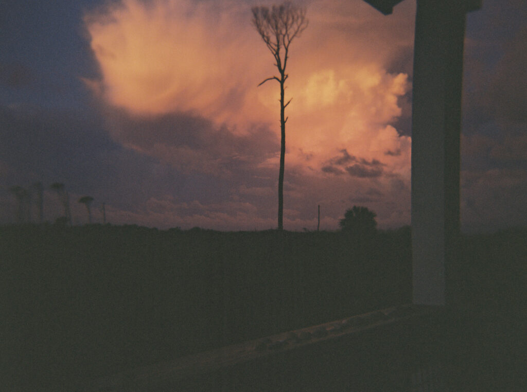 A pink sunset in Cape San Blas Florida. 