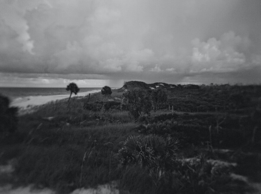 The untouched beauty of the Forgotten Coast of Florida. 