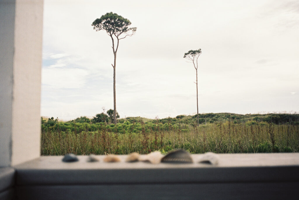 Untouched nature in Cape San Blas Florida State Park.